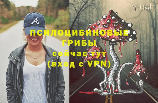 МДПВ Абинск