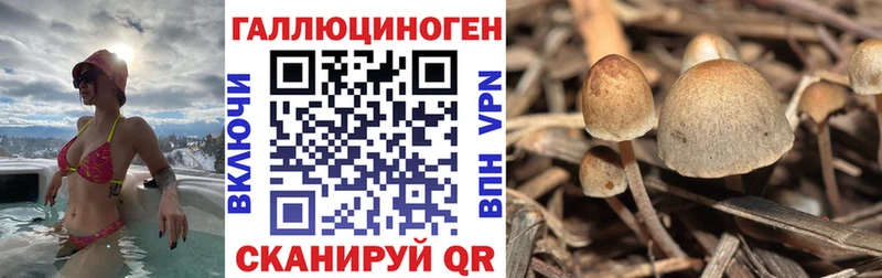Галлюциногенные грибы прущие грибы mega зеркало Ильский